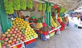 海南水果市场爆料案件最新,揭露背后利益链与食品安全危机